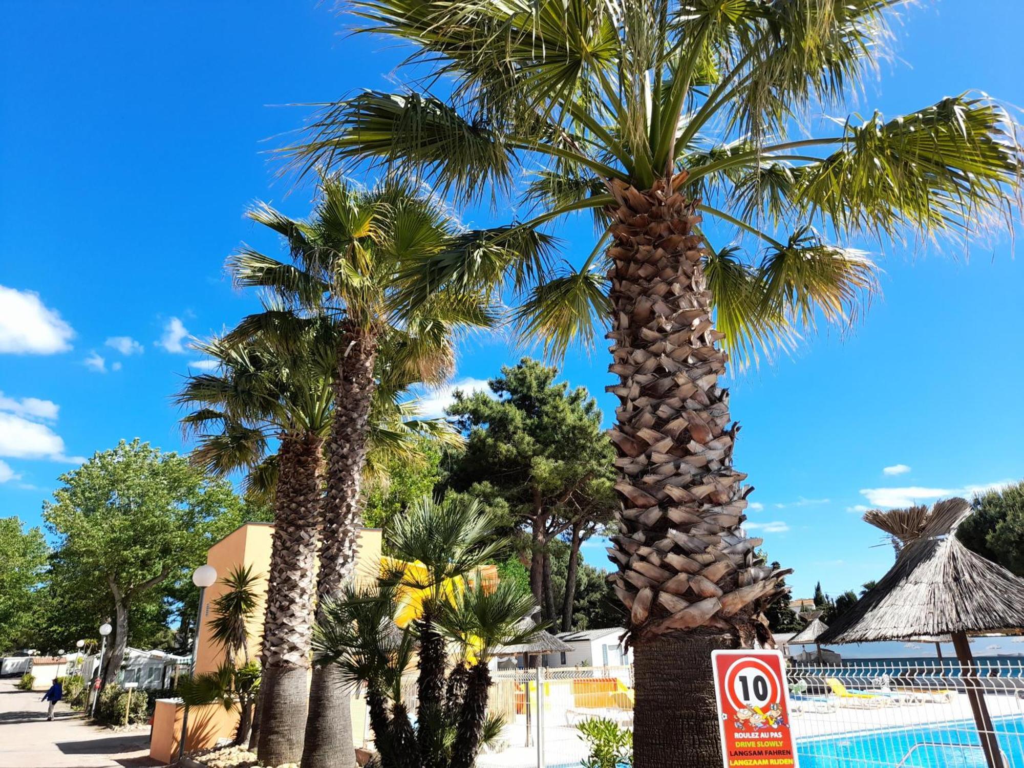 Camping Les Jardins D'Agathe - Maeva Le Grau-dʼAgde Exterior foto